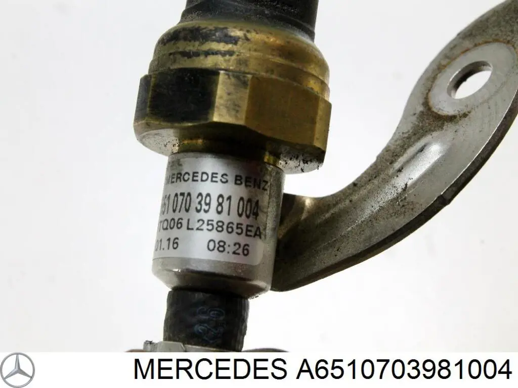 A6510703981004 Mercedes 