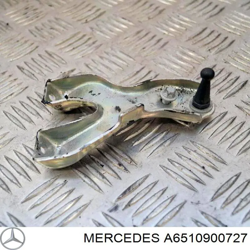 A6510900727 Mercedes 