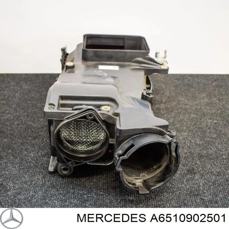 A6510902501 Mercedes Коробка фільтра