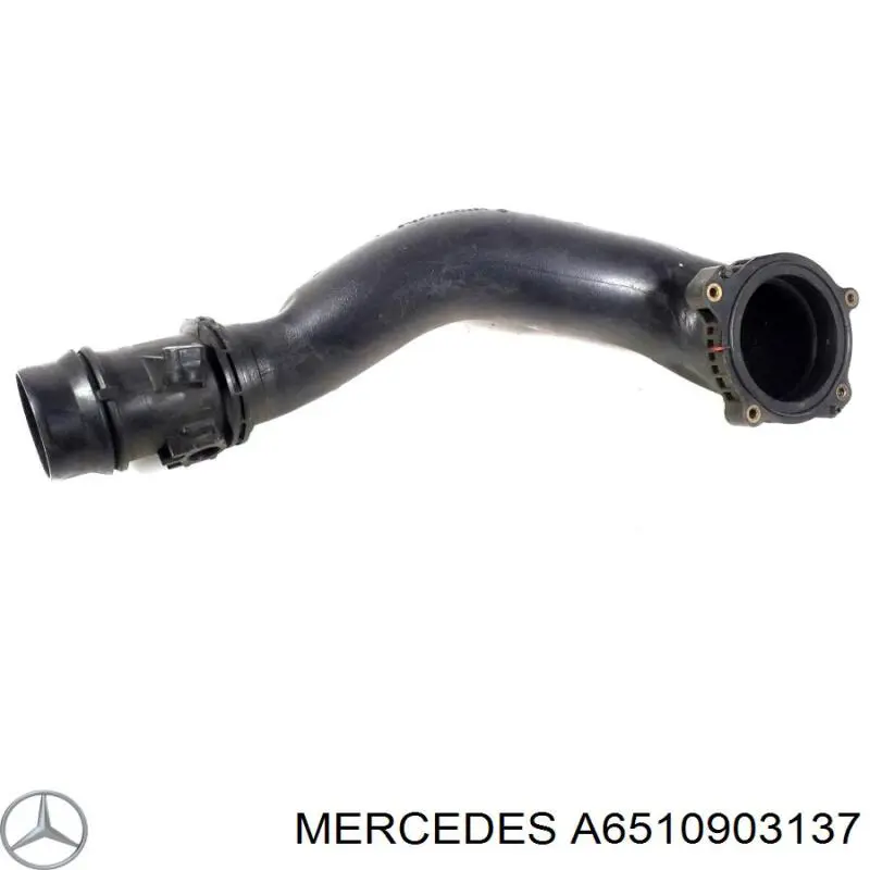 Купити A6510903137 Mercedes Впускний колектор