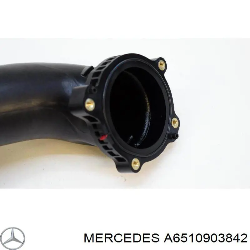 A6510903842 Mercedes 