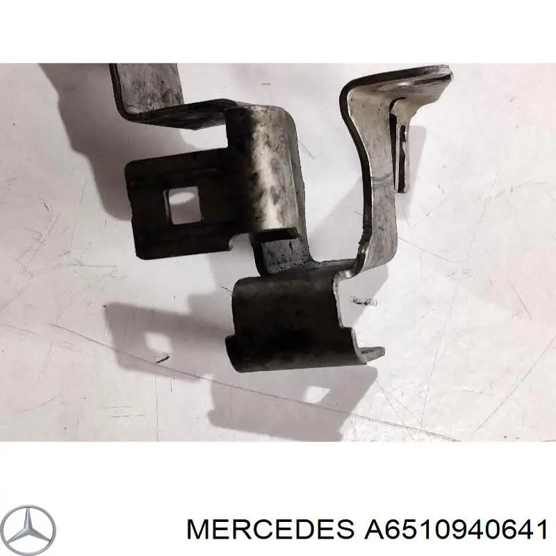A6510940641 Mercedes 