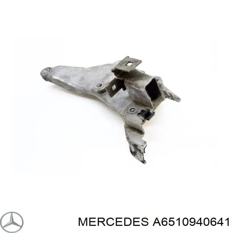 A6510940641 Mercedes 