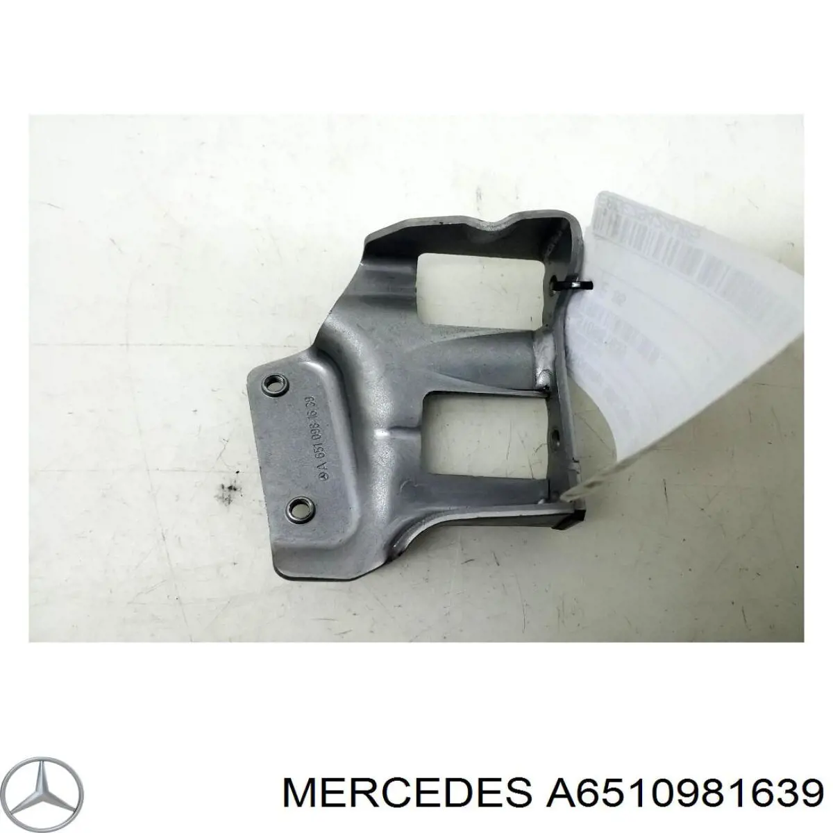 A6510981639 Mercedes 