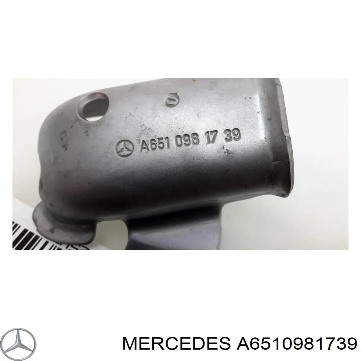  A6510981739 Mercedes