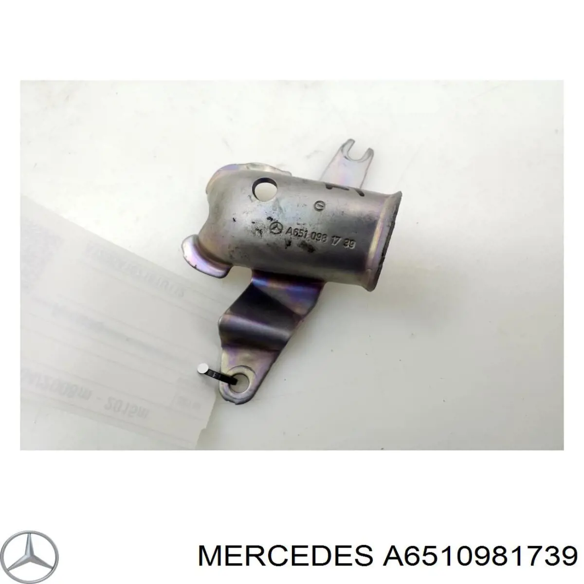 A6510981739 Mercedes 