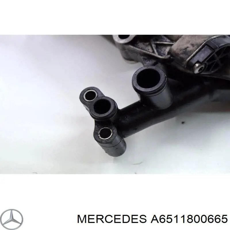 Радіатор масляний A6511800665 Mercedes