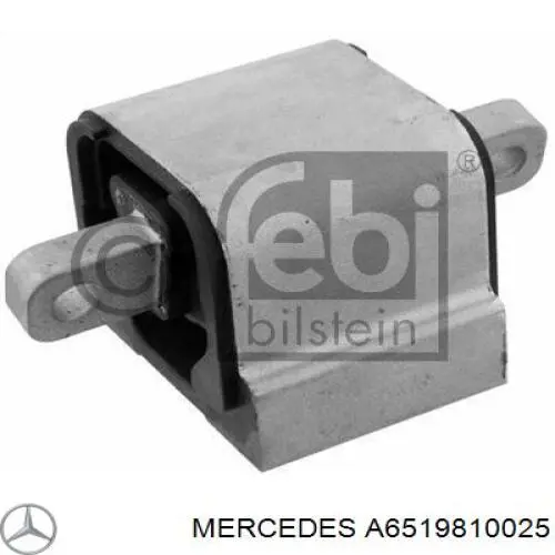 A6519810025 Mercedes 