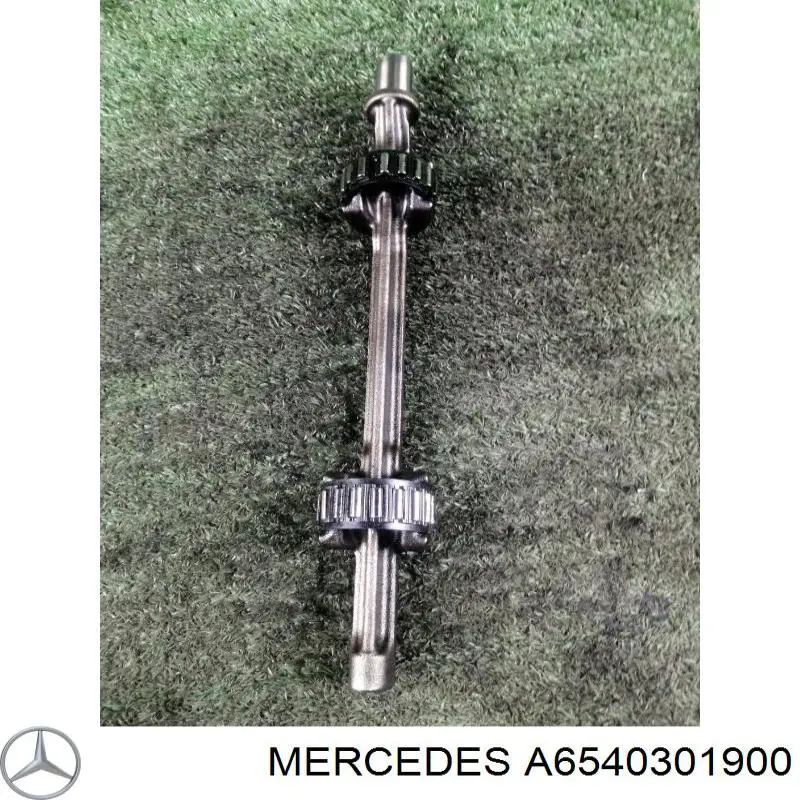 A6540301900 Mercedes 