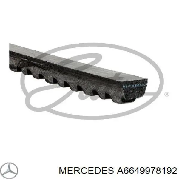 6649978192 Mercedes 