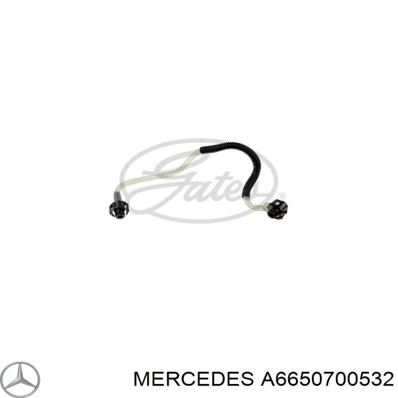 Купити A6650700532 Mercedes Трубка паливна від клапана відсічення до ПНВТ
