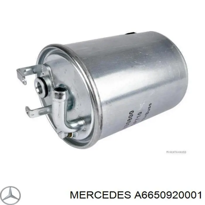 Паливний фільтр A6650920001 Mercedes