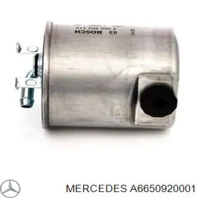A6650920001 Mercedes Фільтр палива