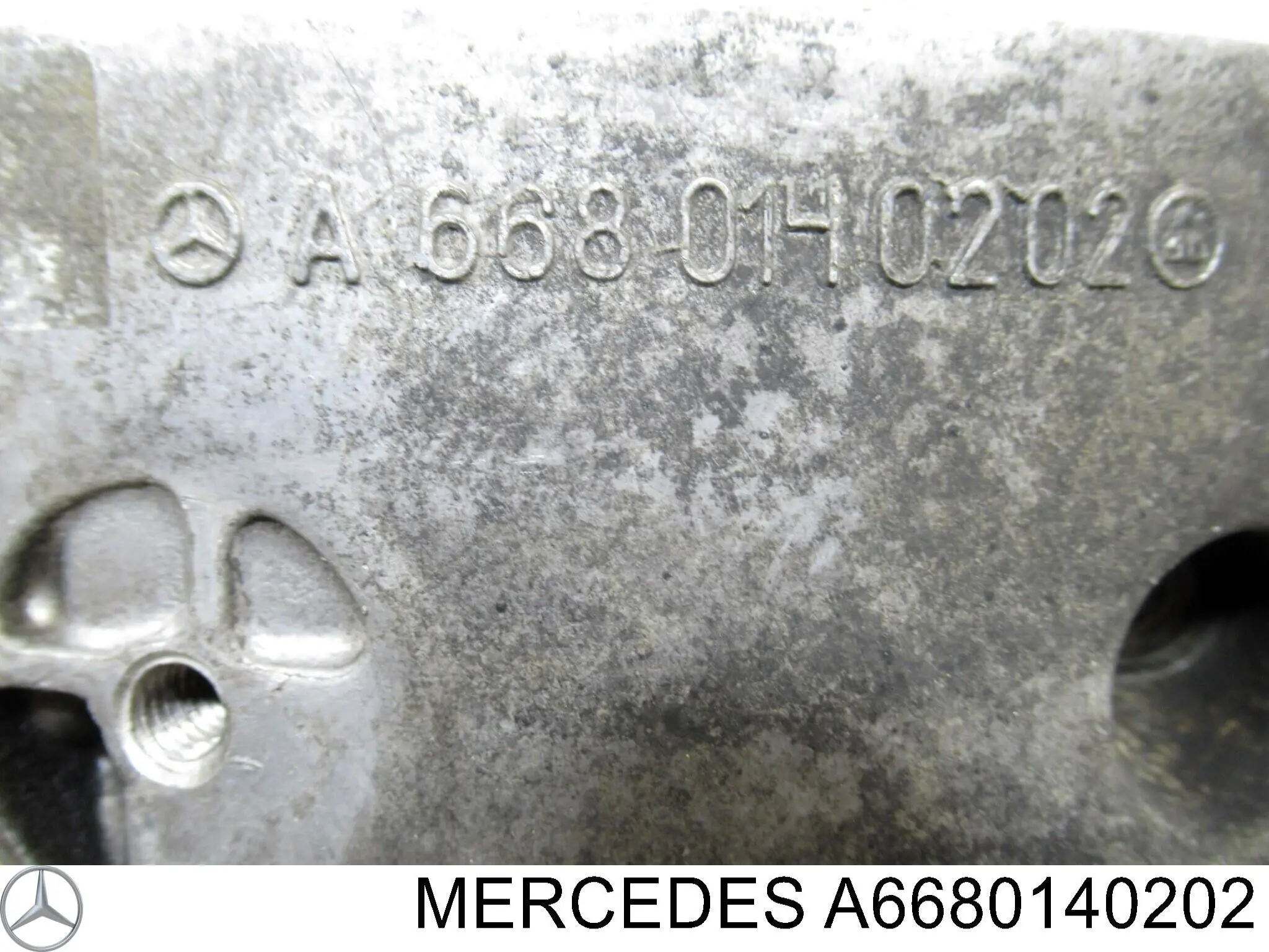 Купити A6680100113 Mercedes Захист двигуна