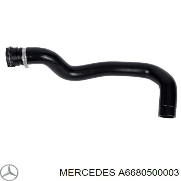 Купити A6680500003 Mercedes Зірка колінчастого вала