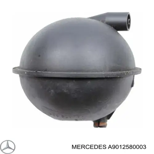  A9012580003 Mercedes