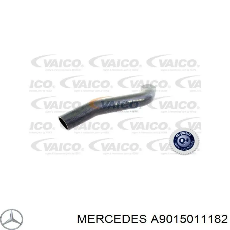 Купити A9015011182 Mercedes Шланг/патрубок радіатора охолодження, нижній