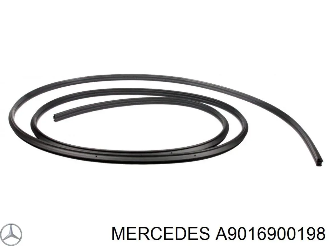 Ущільнювач двері задньої (на кузові) Mercedes A9016900198 ціна, від 63.90 USD