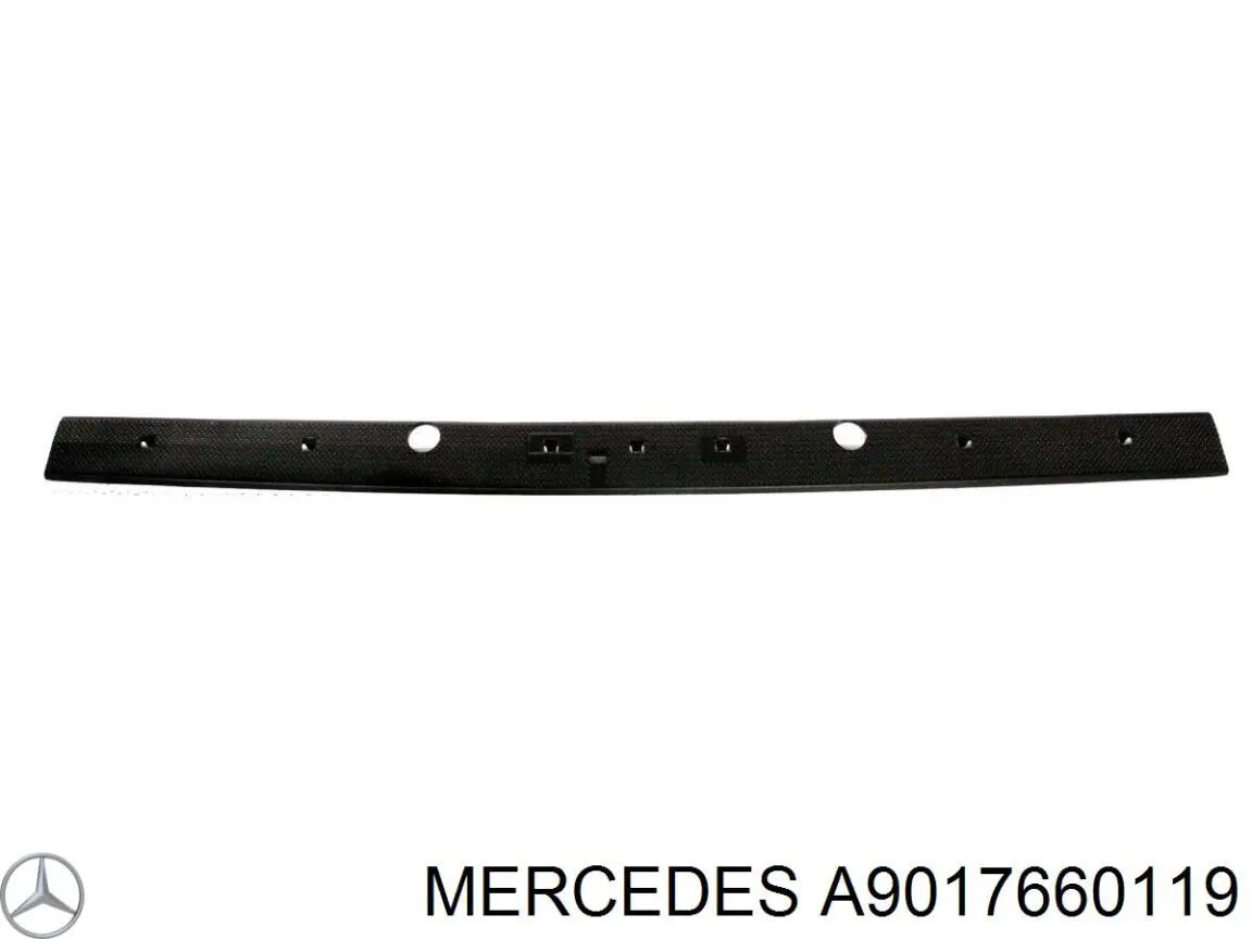 Накладка задньої лівої двері, нижня Mercedes A9017660119 ціна, від 19.02 USD