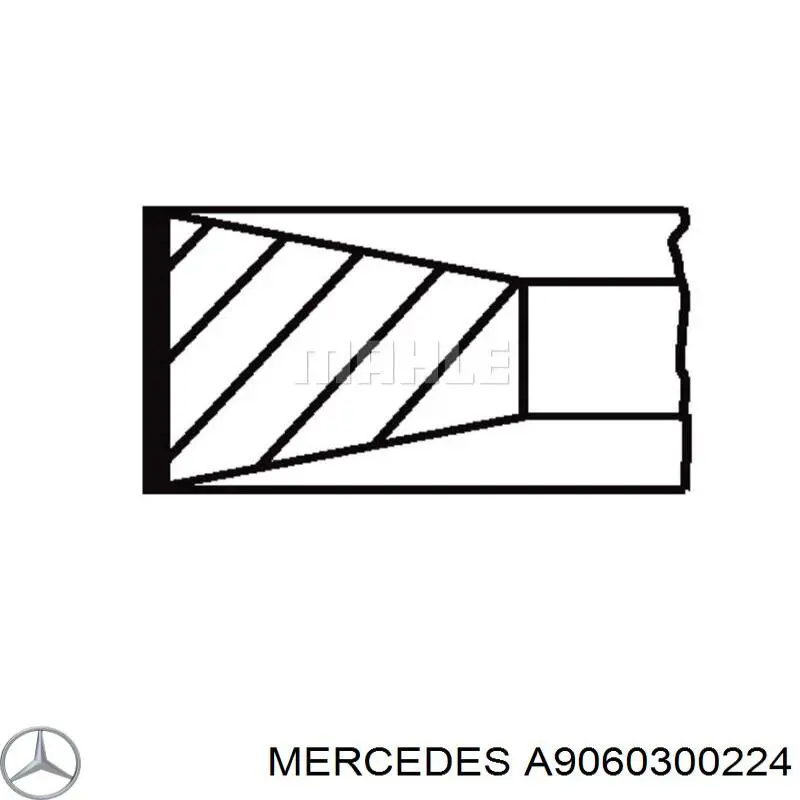 A9060300224 Mercedes Кільця поршневі на 1 циліндр, STD.