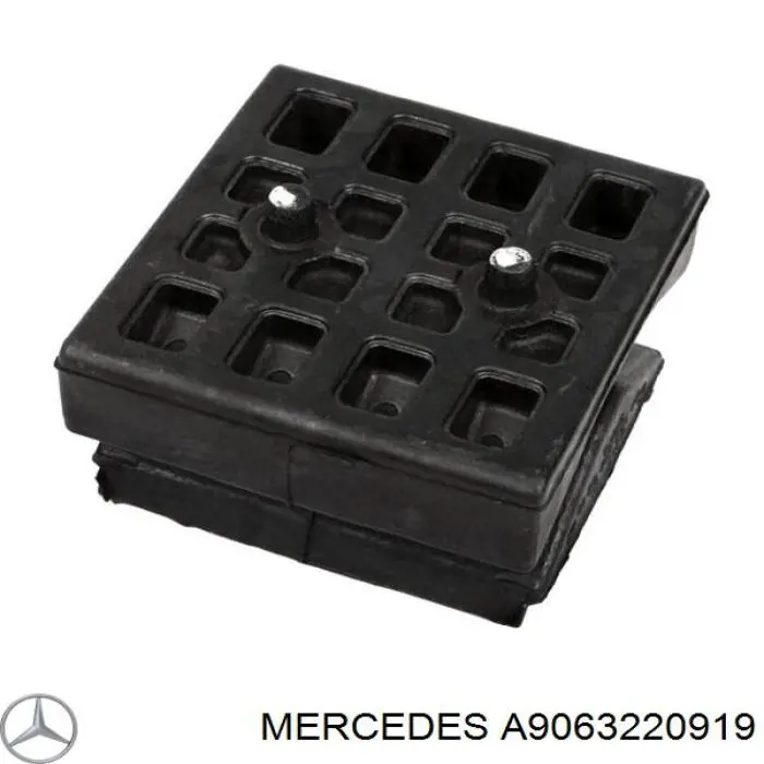 A9063220919 Mercedes опора передньої ресори