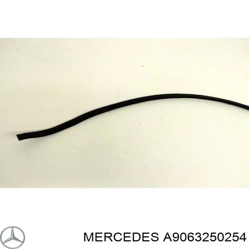 Купити A9063250254 Mercedes Підкладка під драбину задньої ресори
