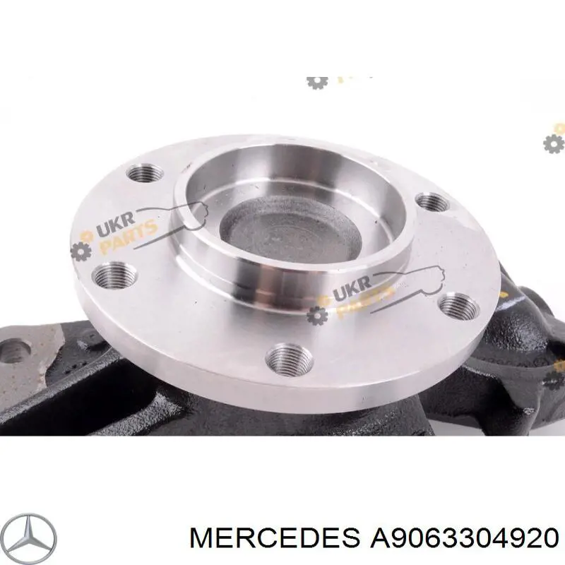 Купити A9063304920 Mercedes Цапфа - поворотний кулак передній, лівий