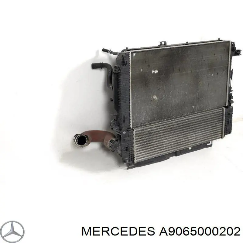 A9065000202 Mercedes радіатор охолодження двигуна