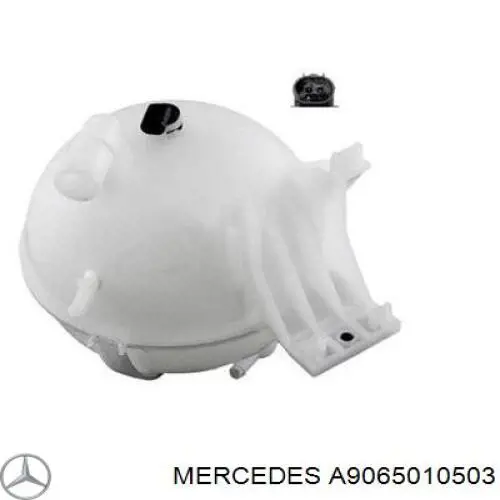 A9065010503 Mercedes бачок системи охолодження, розширювальний