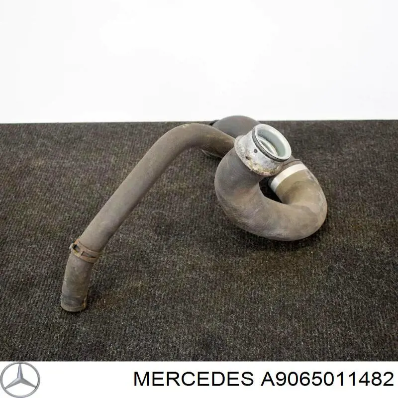 Шланг/патрубок радіатора охолодження, нижній A9065011482 Mercedes