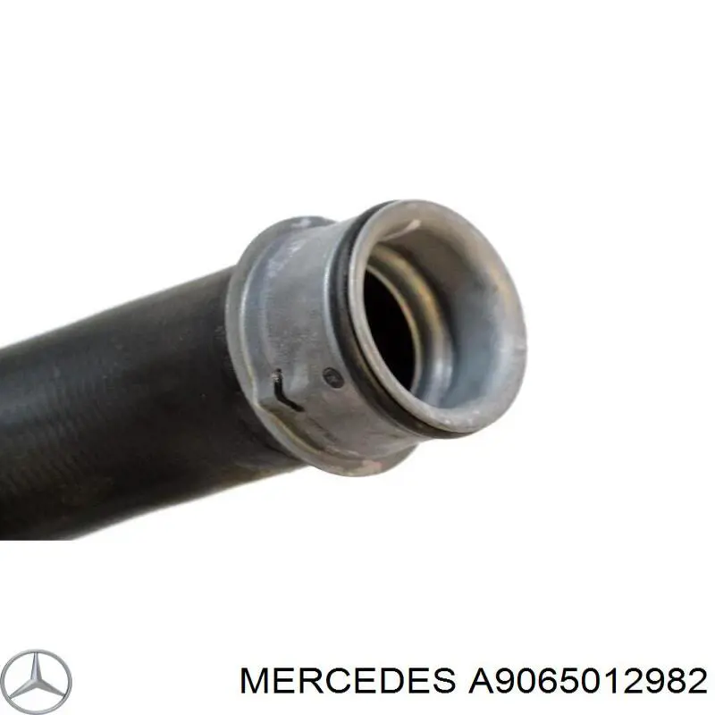 Купити A9065012982 Mercedes Шланг/патрубок радіатора охолодження, верхній