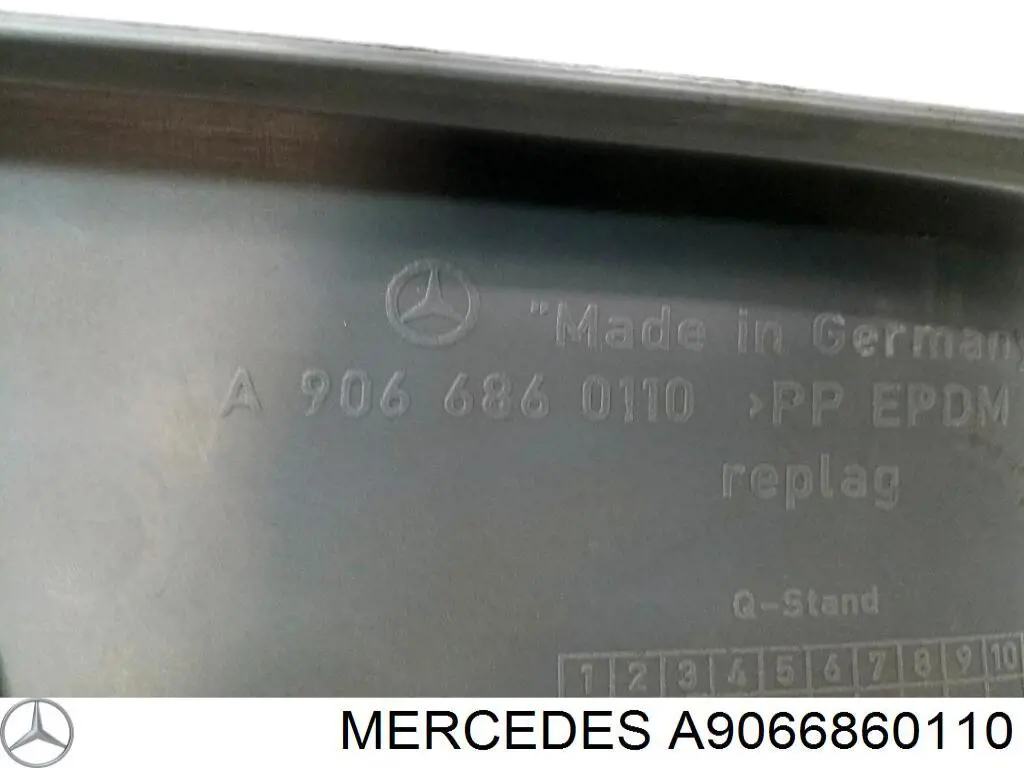 Купити A9066860110 VAG Підніжка права