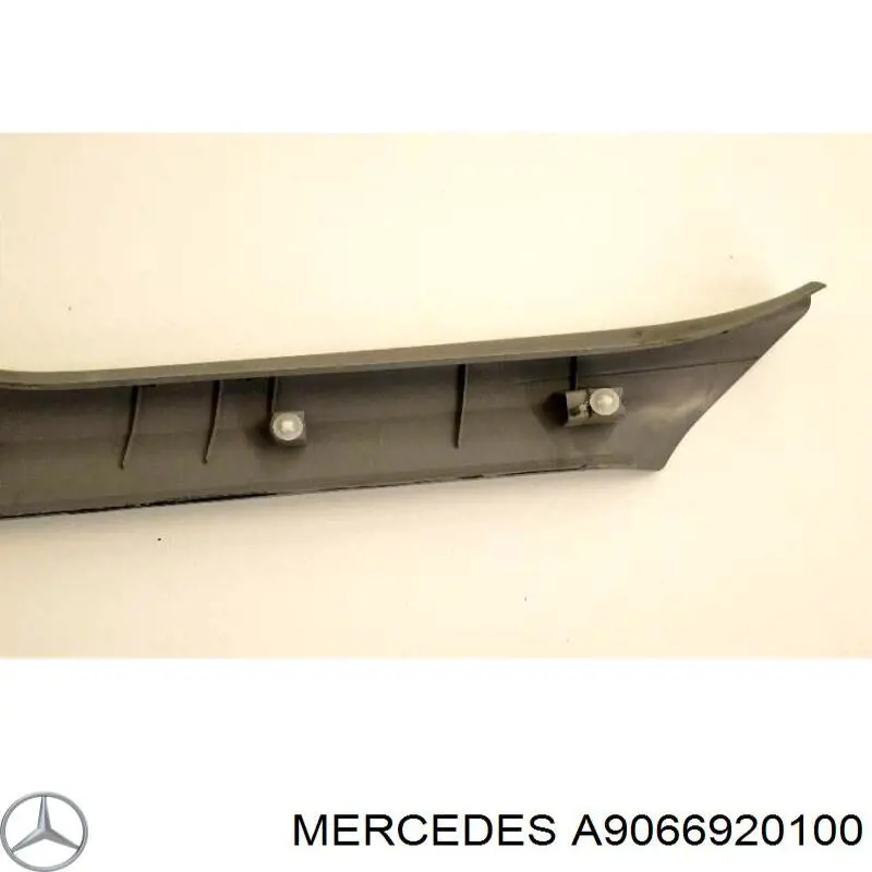  A9066920100 Mercedes