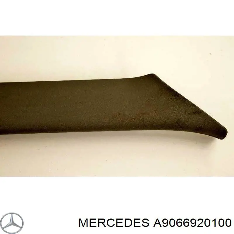 A9066920100 Mercedes 