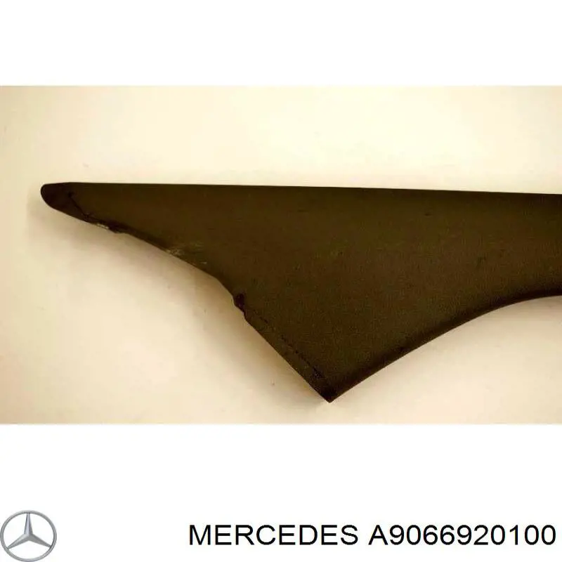  A9066920100 Mercedes