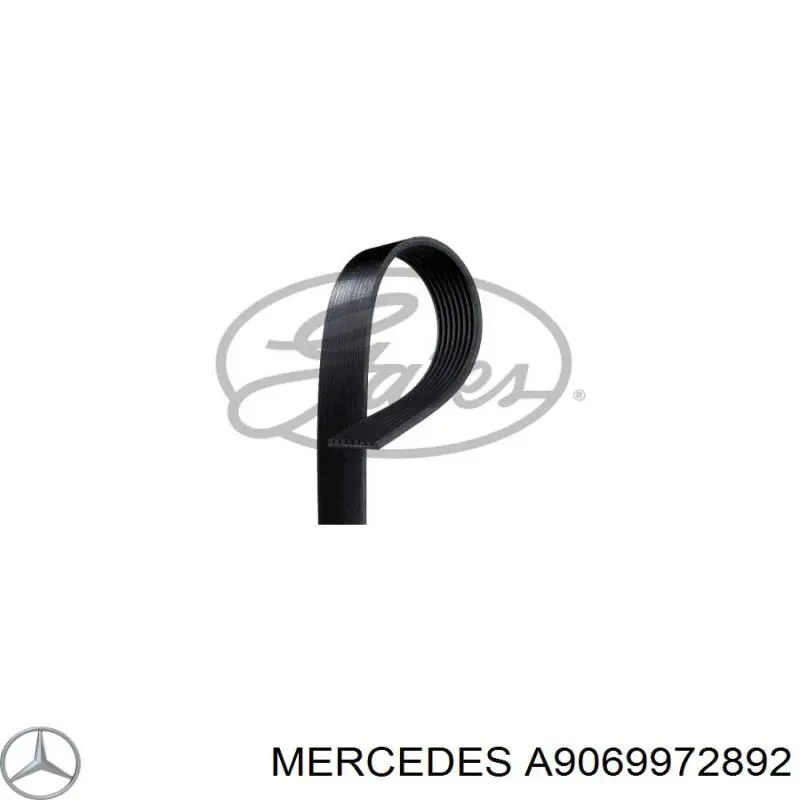 A9069972892 Mercedes Поліклиновий ремінь