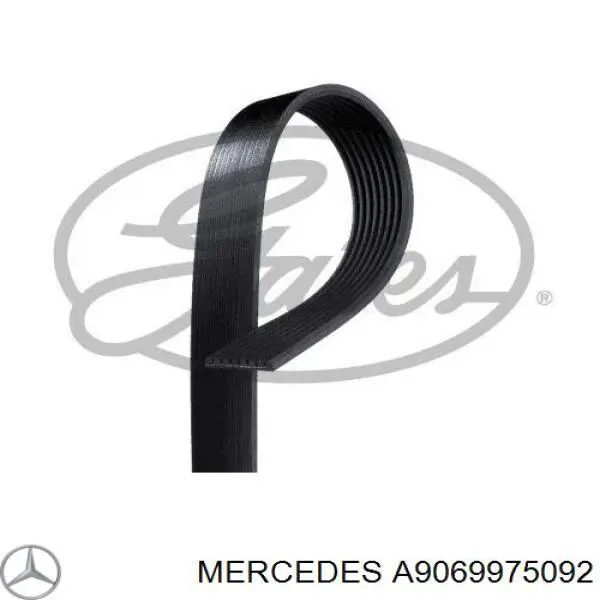 A9069975092 Mercedes Поліклиновий ремінь