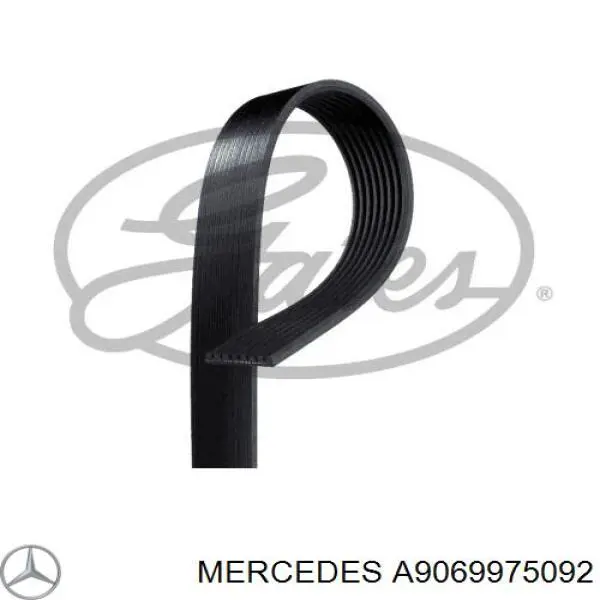 Клиновий ремінь Mercedes A9069975092 ціна, від 22.14 USD