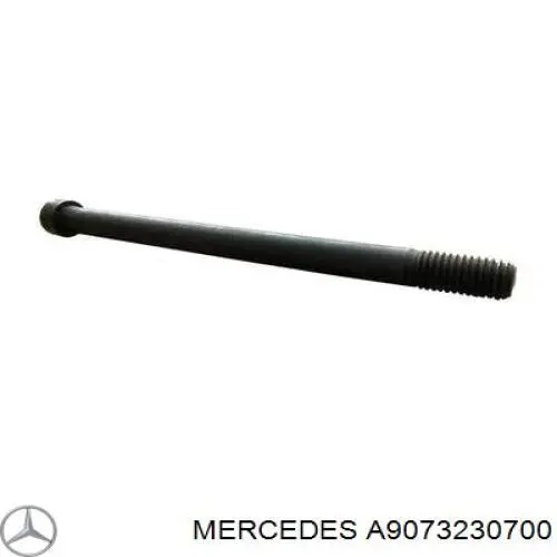 A9073230700 Mercedes Пильник стійки передньої