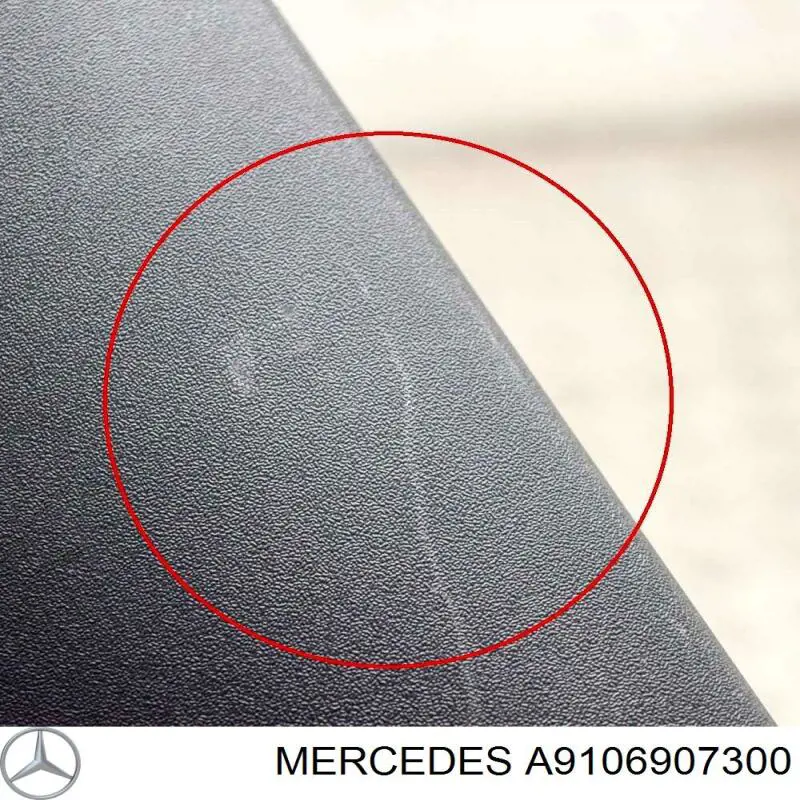 A9106907300 Mercedes 