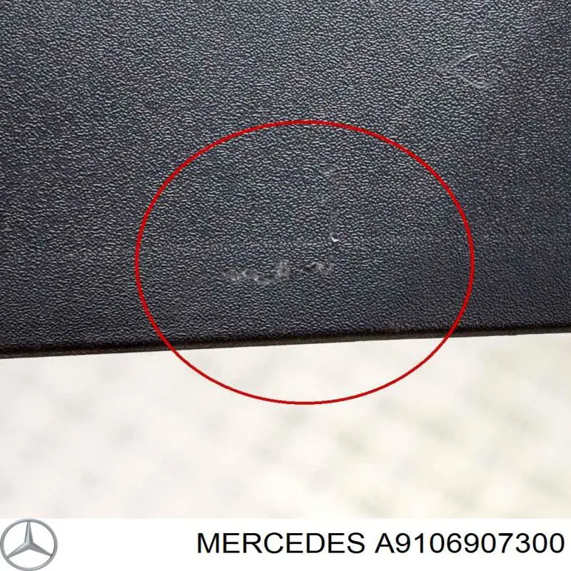  A9106907300 Mercedes