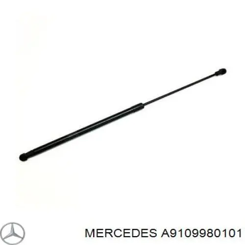 A9109980101 Mercedes 