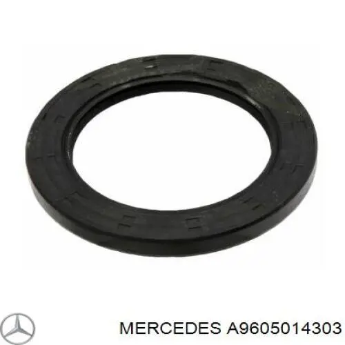 Бачок системи охолодження A9605014303 Mercedes