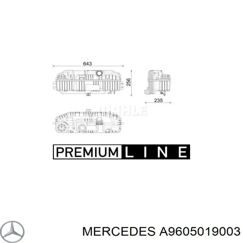 Бачок системи охолодження A9605019003 Mercedes