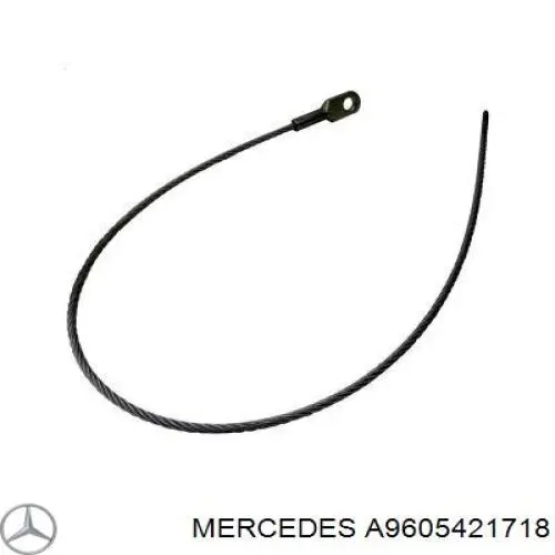 Купити A9605421718 Mercedes 