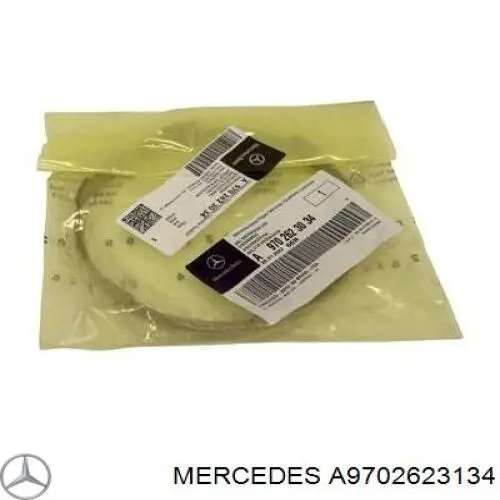  A9702623134 Mercedes