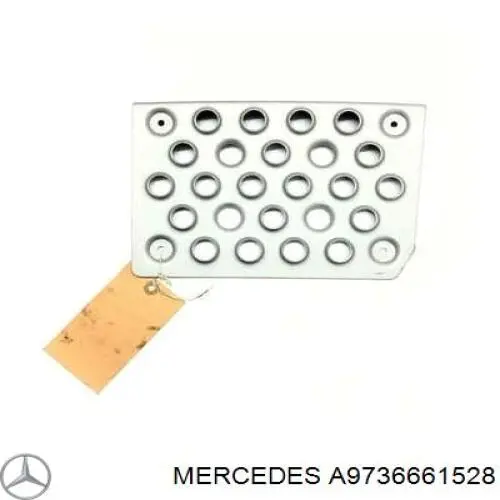Підніжка ліва A9736661528 Mercedes