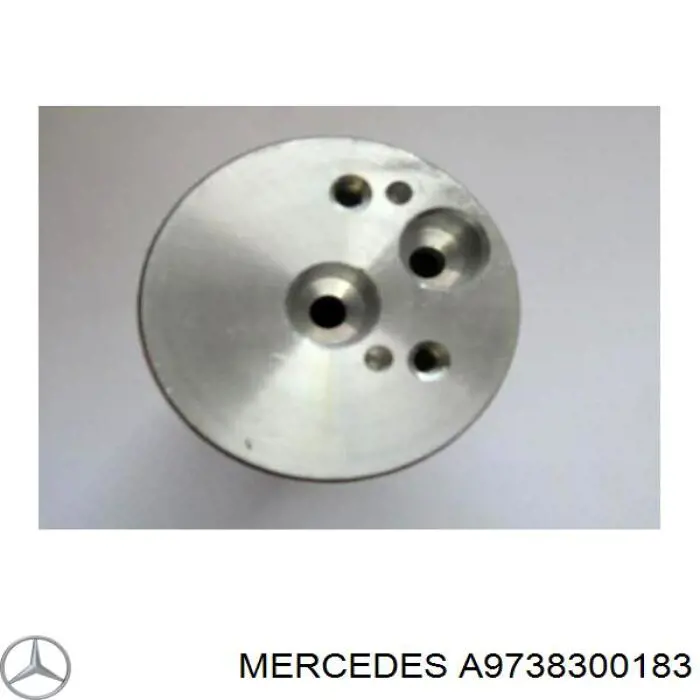 Ресивер-осушувач кондиціонера A9738300183 Mercedes