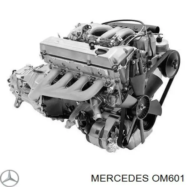  OM601 Mercedes