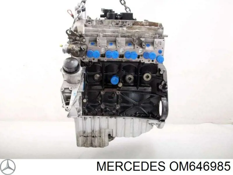 OM646985 Mercedes Мотор в зборі
